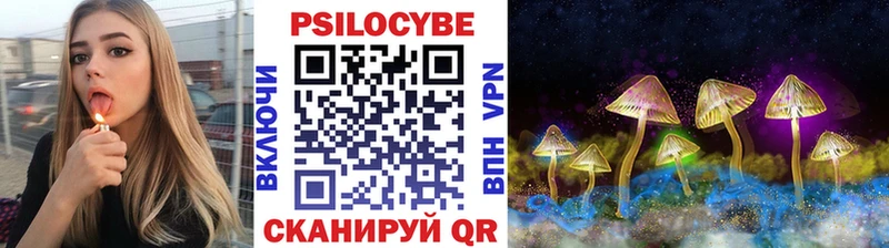 Купить закладки  Перевоз  Галлюциногенные грибы Cubensis 